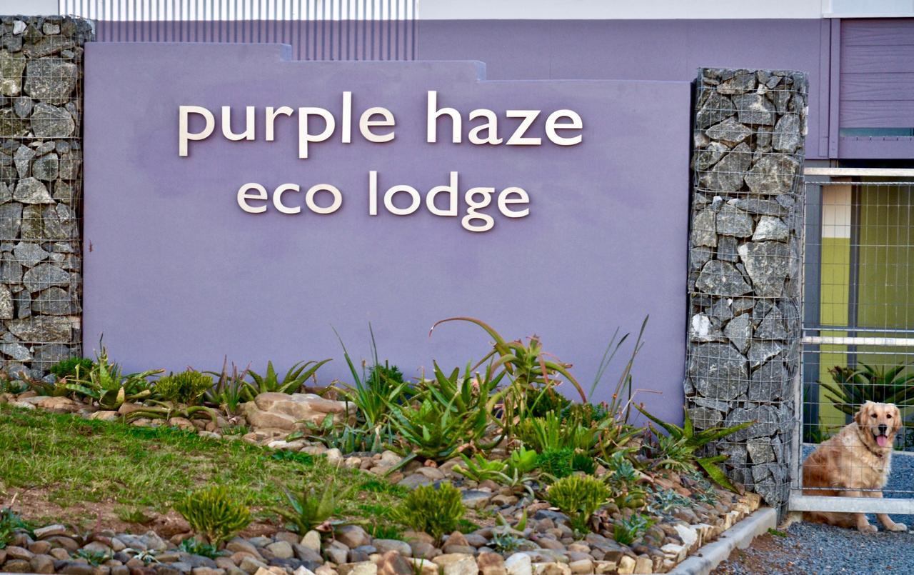 Purple Haze Eco Lodge Chintsa Εξωτερικό φωτογραφία